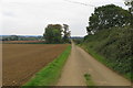 Trees by the Old School House on the track to Lillingstone Dayrell in MK18 5AR