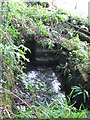 Marsden Holy Well in PR5 0UF