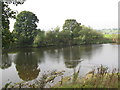 River Ribble in PR5 0UF