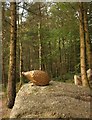 Golden hedgehog sculpture, Dalbeattie Forest in DG5 4EQ