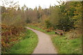 Path-side bench, Dalbeattie Forest in DG5 4EQ