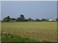 Farmland near Point Farm north of Beeston, Norfolk in PE32 2RP