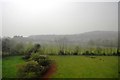 A misty Cornish landscape in PL26 7LP