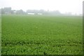 Misty farmland in PE34 4EY