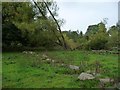 Fallen tree on the west bank of Hoff Beck in CA16 6EG