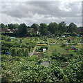 Allotments between the railway and The Boulevard, Wylde Green, Birmingham in B72 1NA