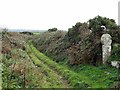 Wayside cross near Boswarthen in TR20 8RE
