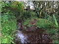 Watercourse near Chapel Euny holy well in TR19 6HX