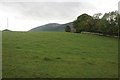 Field beside Sheep Burn Bridge in DG2 8DF