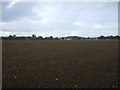 Farmland towards Worlingham in NR34 7RE