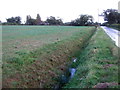 Drain beside the road to Kessingland in NR33 8EE