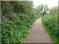 Footpath in Cotgrave Country Park in Cotgrave