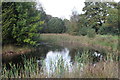 Large pond, Pant-ysgawen in NP11 3NQ