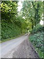 Tree-lined road, Eyton in HR6 0BZ