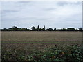 Flat farmland, Darsham in IP17 3FB