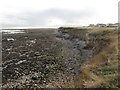 Rocky coastline at Whitburn in SR6 7DY