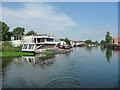 Moored boats, west bank, River Weaver in CW9 8WY