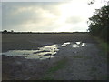 Flat farmland near Poppy Dale Farm in NR33 7PQ