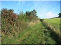 Bridleway on Farnborough Down in OX12 8NP