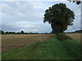 Drain and footpath off Mutfordwood Lane in NR33 8BT