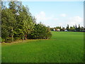 View of recreation ground near to Tunnel How Hill, Leeds in LS6 4QD