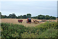 Farm equipment, Little Wakering Wick in SS3 0AG