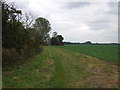 Farm track (footpath) off Halesworth Road in IP19 8NR