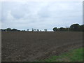 Field off Beccles Road (B1124) in IP19 8NW