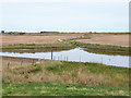 Fields and drainage, Fleet Head in Barling Magna