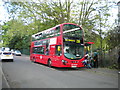 Bus on Bisterne Avenue, Upper Walthamstow in E17 3EA