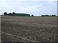 Stubble field off Hulver Road in Ellough