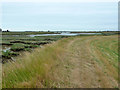Sea wall, Potton Creek in SS3 0BY