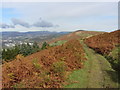 Looking north from Mynydd y Capel in CF46 6UF