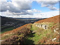 Hillside footpath to Troedyrhiw in CF48 4LL