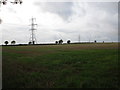 Field and pylons off Green Man Road in LN5 0JY