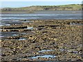 Mud at Sand Bay in BS22 9UQ