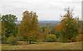 Looking to Waltham Abbey from Big View, Honey Lane Quarters, Epping Forest in EN9 3RL