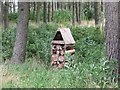 Bug Hotel, Forfar Golf Course, 16th hole in DD8 2RL