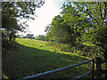 Pasture beside Cartlett Brook in SA62 4DJ