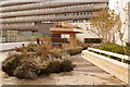 Rooftop garden, Aberdeen Royal Infirmary in AB16 7AN