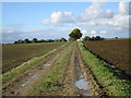 Track to Barff Farm in West Lindsey District