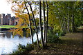 Trees next to the moat at Kirby Muxloe Castle in LE9 2EF