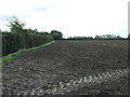 Field and hedgerow near Manor Farm in IP22 2ES