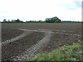 Flat field off Heywood End in IP22 2ES