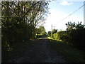 Lane by Rectory Farm in West Rasen