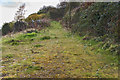 A steep track at Hutch Bank in BB4 5TS