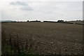 Ploughed field near Bettiscombe in DT6 5QD