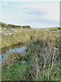 The River Menalhyl behind Mawgan Porth beach in TR8 4BE