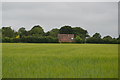 House across a field in IP9 2SY