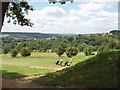 Golf course, view to High Wycombe in HP10 9RR